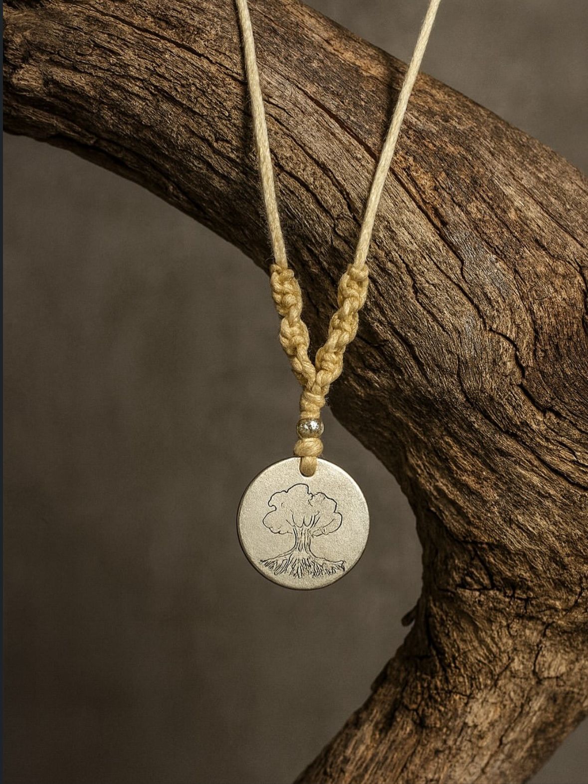 WhatsApp Image 2025-09-28 at 15.28.24